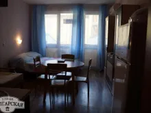 Miniaturka