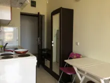 Miniaturka