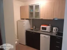 Miniaturka