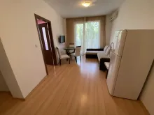 Miniaturka