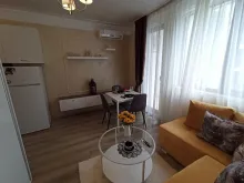 Miniaturka