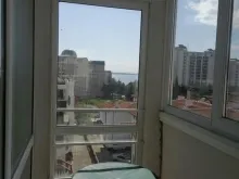 Miniaturka
