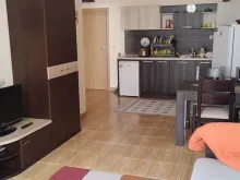 Miniaturka