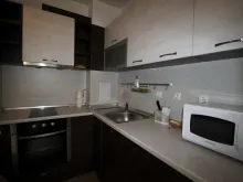 Miniaturka