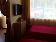 Miniaturka
