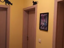 Miniaturka
