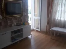 Miniaturka