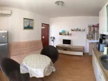 Miniaturka