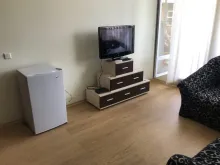 Miniaturka