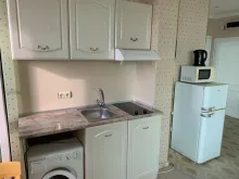Miniaturka