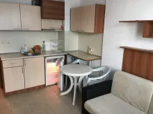 Miniaturka