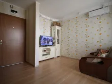 Miniaturka