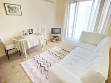 Miniaturka