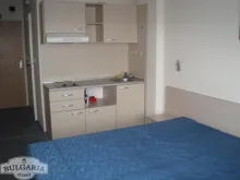 Miniaturka