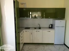 Miniaturka