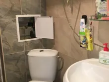 Miniaturka
