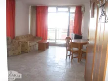 Miniaturka