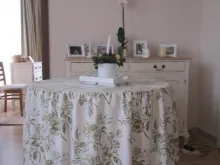Miniaturka