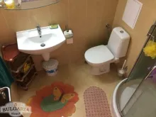 Miniaturka