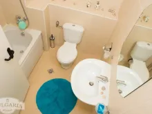 Miniaturka