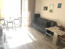 Miniaturka