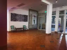 Miniaturka