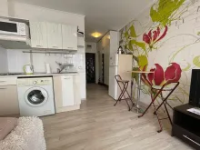 Miniaturka