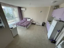 Miniaturka