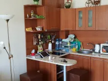 Miniaturka