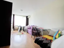 Miniaturka