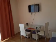 Miniaturka