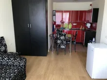 Miniaturka