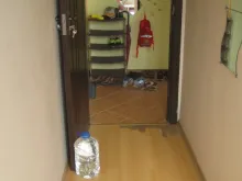 Miniaturka
