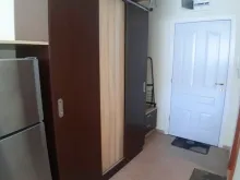 Miniaturka
