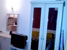 Miniaturka