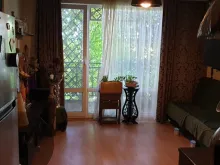 Miniaturka