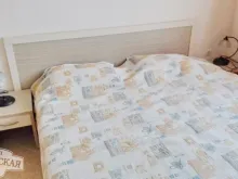 Miniaturka