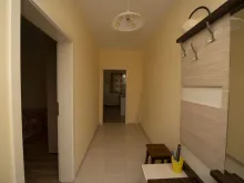 Miniaturka