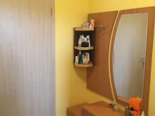 Miniaturka