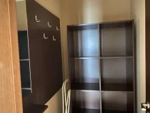 Miniaturka