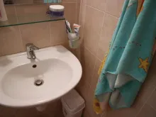 Miniaturka