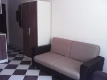 Miniaturka