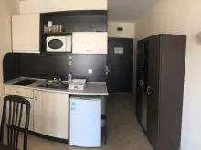 Miniaturka