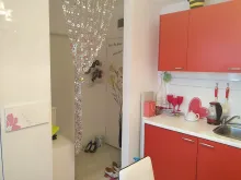 Miniaturka