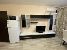 Miniaturka