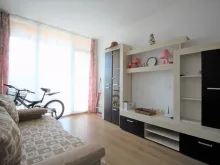Miniaturka