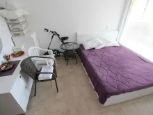 Miniaturka