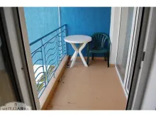 Miniaturka