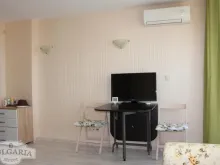 Miniaturka