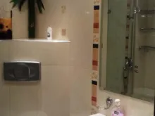 Miniaturka